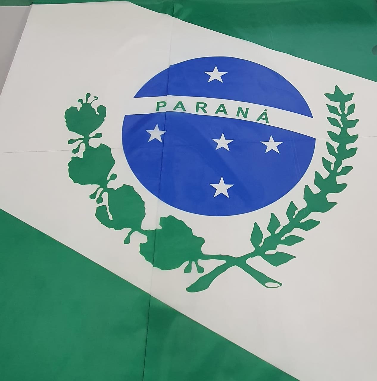 Bandeira do Estado do Paraná em Faliete