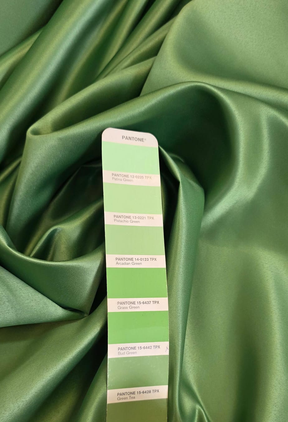 Cetim Bucol Liso Verde Oliva Claro