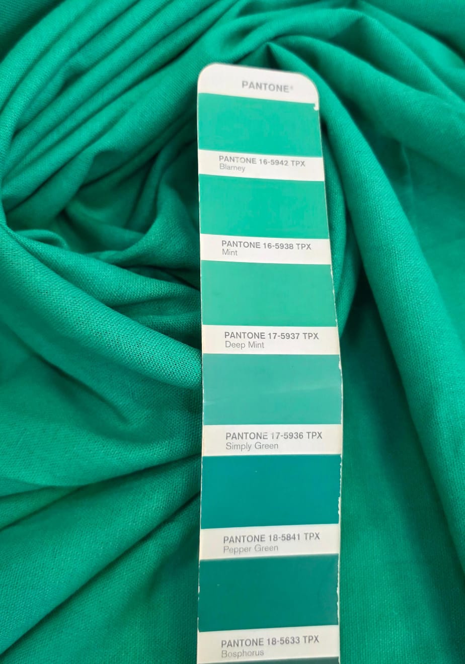 Linho com Viscose Verde Bandeira Claro