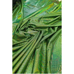 Malha Look Holográfica Verde -Largura 1,50 m x Comprimento 0,68 cm