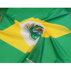 Bandeira do Estado do Ceará em Faliete