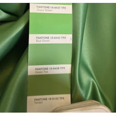 Cetim Bucol Liso Verde Oliva Claro