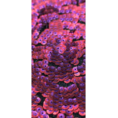 Paetê Bordado Premium Rosas