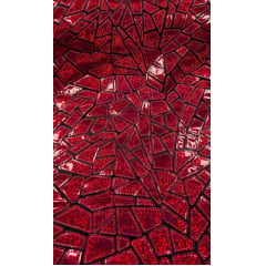Veludo Bordado Flash Back Holográfico Vermelho Efeito Glitter  