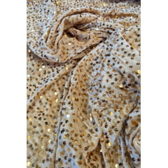 Veludo Cristal Bordado Dourado Claro