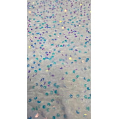 Veludo Cristal Bordado Holográfico Branco