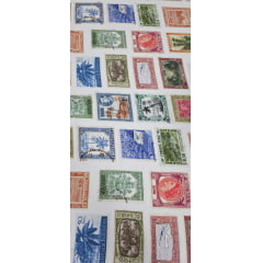 Viscose Premium Baw Selos Coloridos