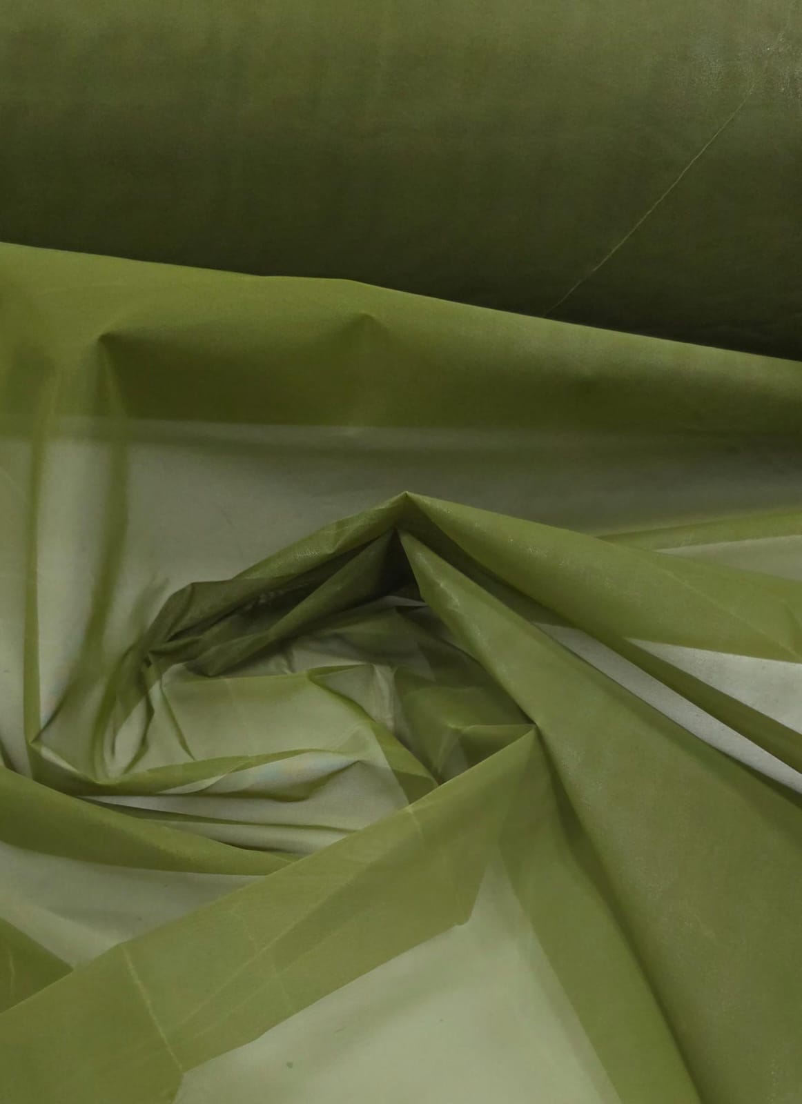 Voil Engomado Verde Oliva