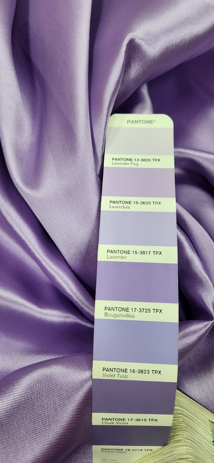 Zibeline Light Lilás